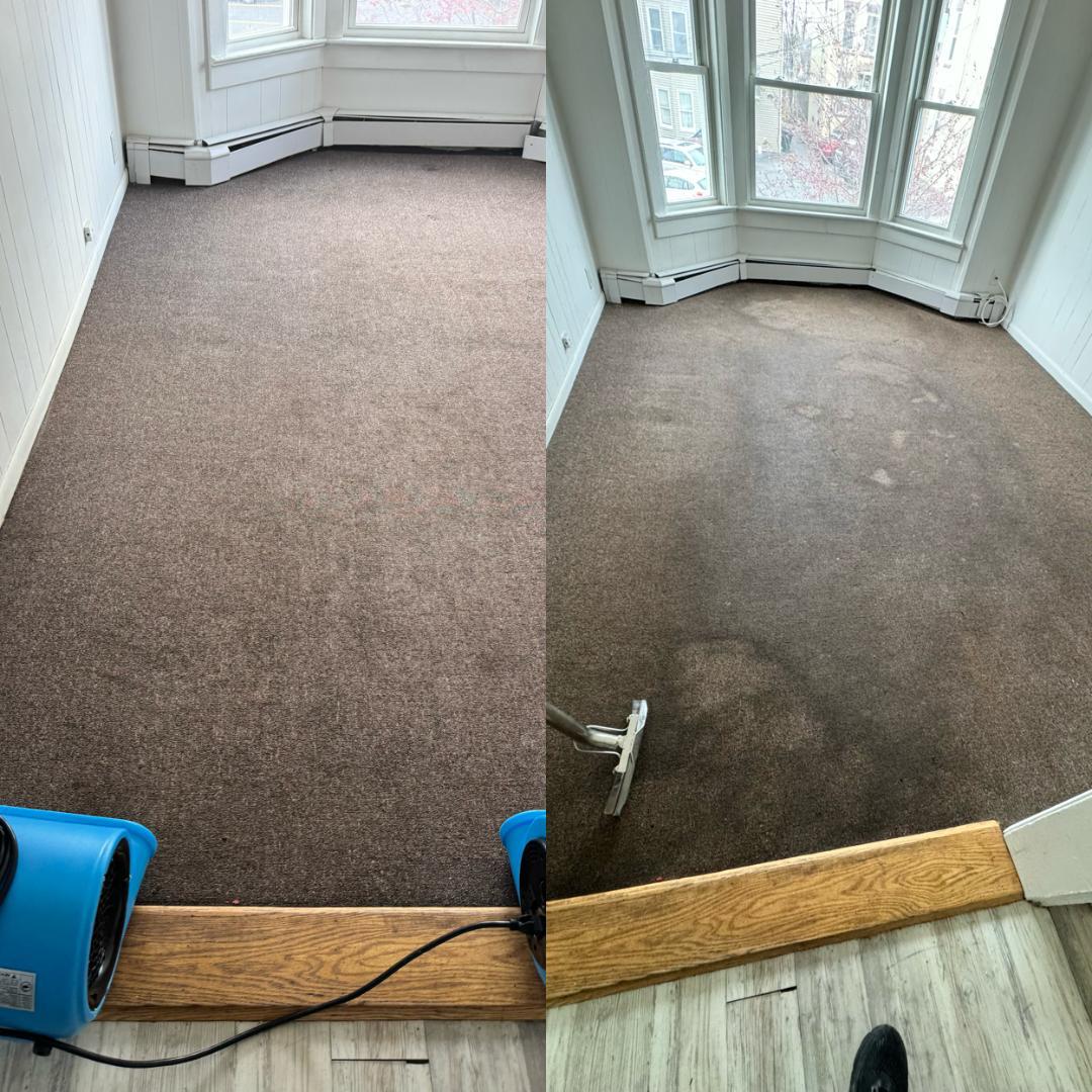 Carpet Cleaning